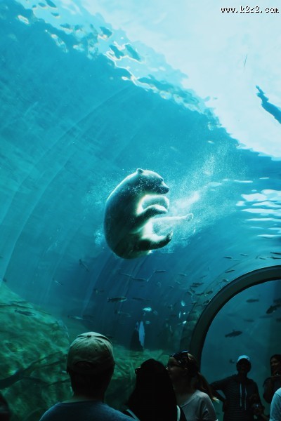 游览水族馆的人图片