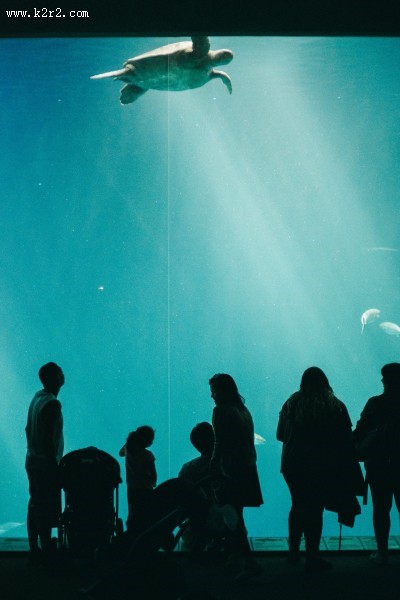 游览水族馆的人图片