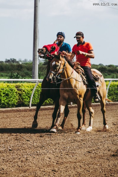 骑马的男士图片