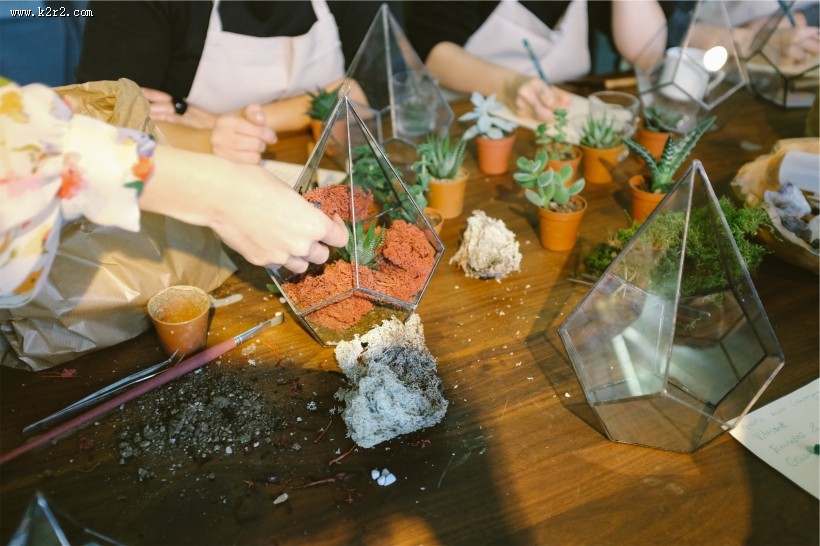 做园艺的美女图片