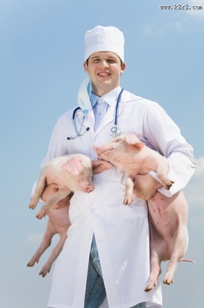 抱着猪的兽医图片