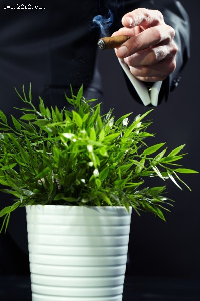 抽烟的男士图片