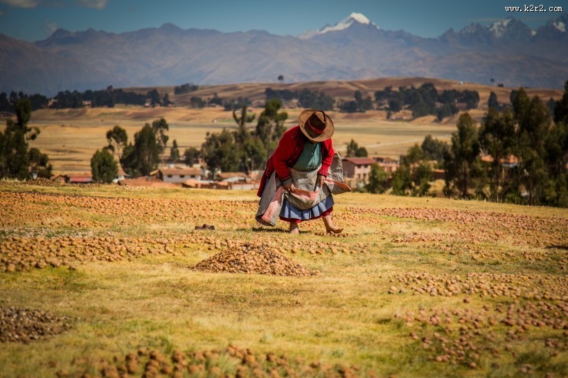 农田里的农民图片