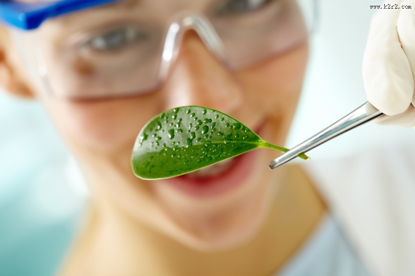 实验室里的科学实验图片