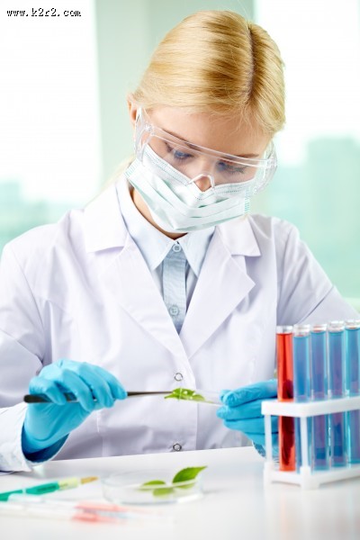 实验室里的科学实验图片