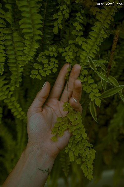 手轻柔的触碰东西图片大全