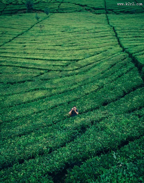 正在用相机拍照的男子图片大全
