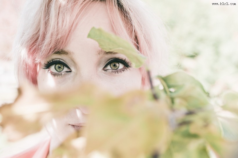 眼睛的特写图片