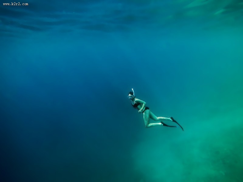 自由潜水的潜水爱好者图片大全