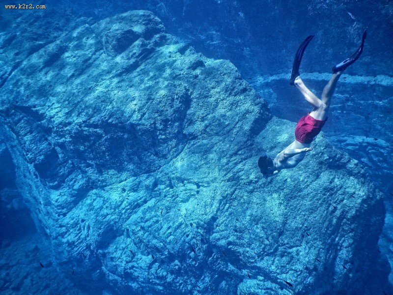 自由潜水的潜水爱好者图片大全