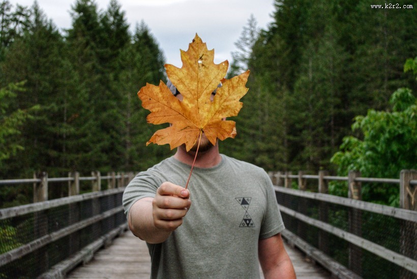 手拿落叶的人物图片