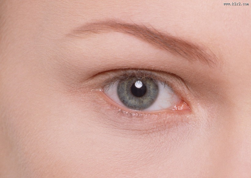 女士眉毛眼睛的特写图片大全