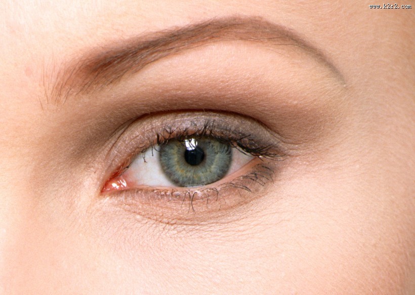 女士眉毛眼睛的特写图片大全