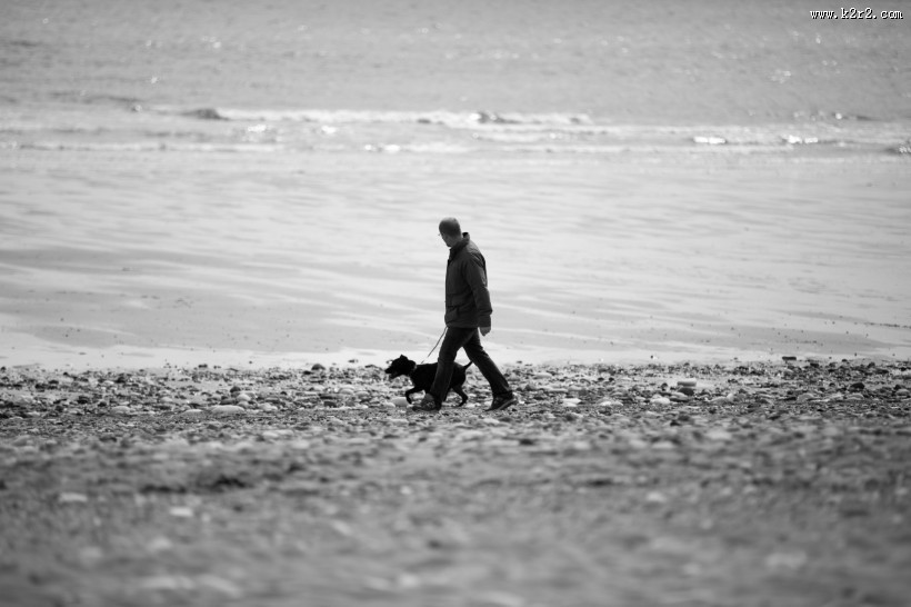在沙滩上散步的人图片
