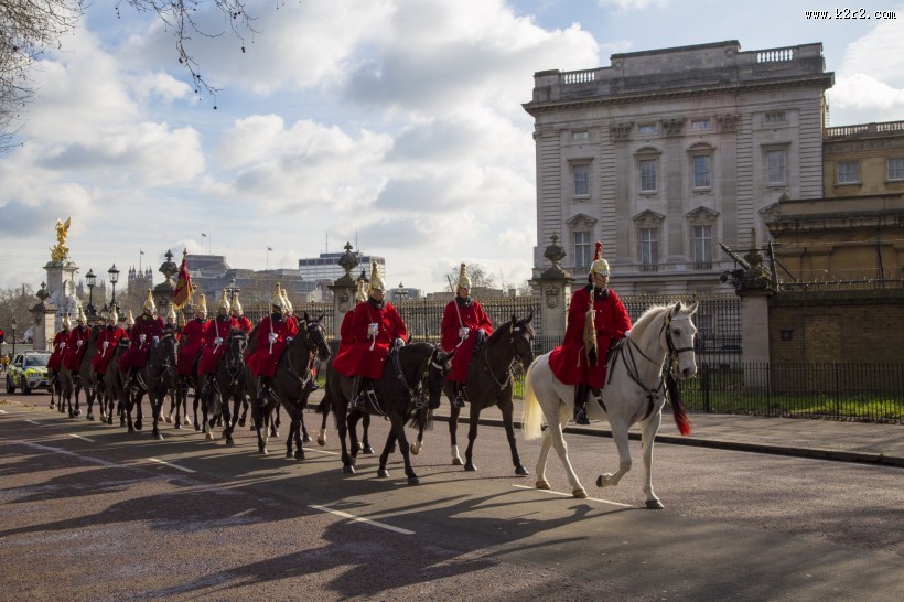 英国皇家骑兵图片大全