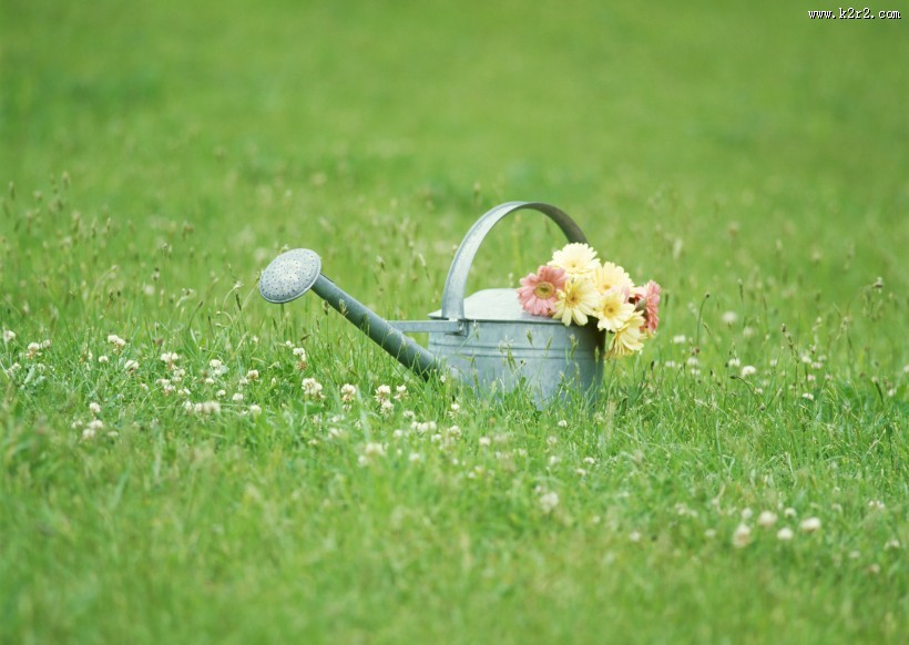 草地玩耍女性图片
