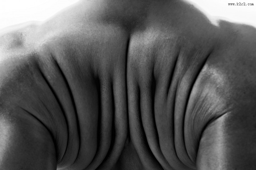 男性健康体魄特写图片