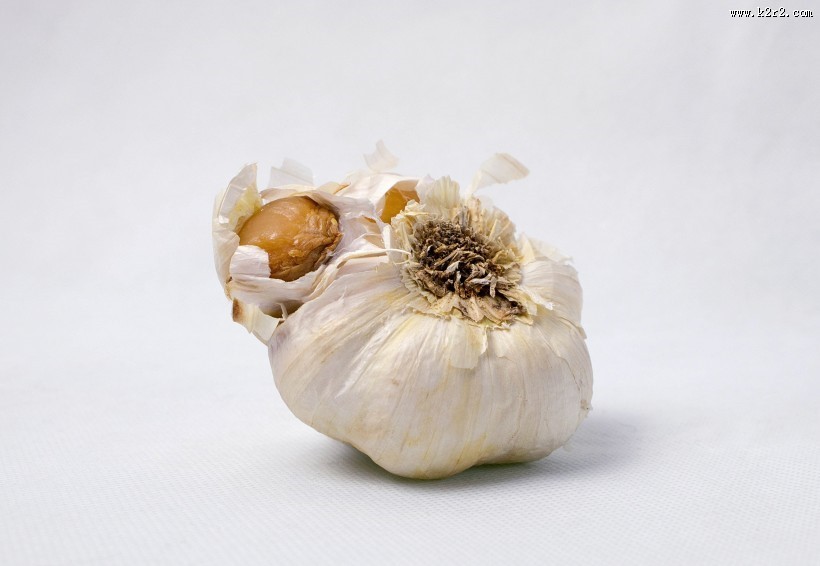 扁球形的大蒜图片 蒜头图片