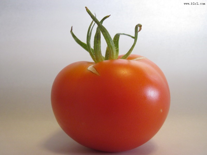 新鲜鲜红的番茄图片
