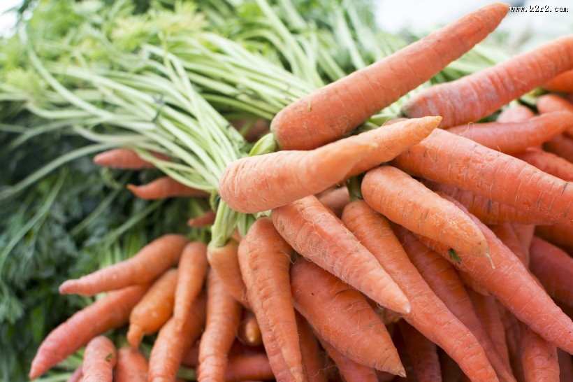 新鲜营养的胡萝卜图片