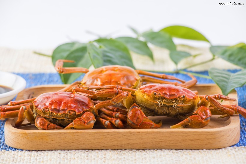 肥嫩鲜美的大闸蟹图片