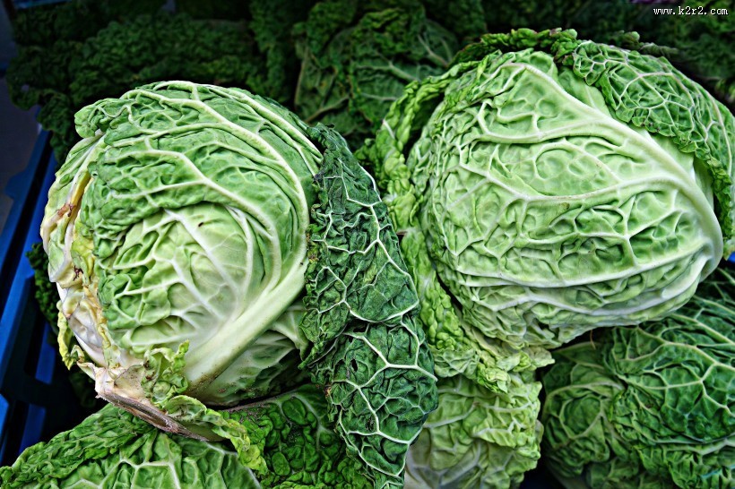 绿色健康的卷心菜图片