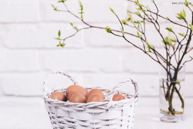 光滑的鸡蛋图片