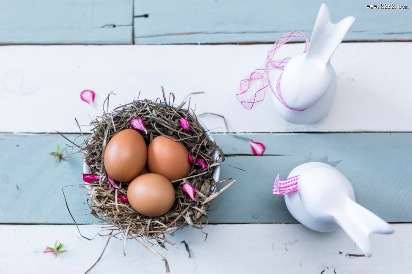 光滑的鸡蛋图片