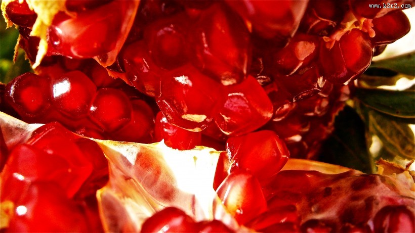 粒粒饱满的石榴粒图片大全