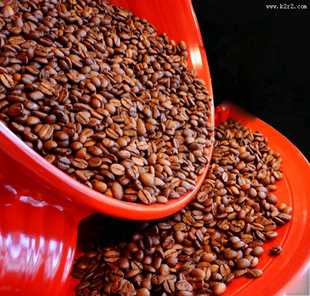 容器里的咖啡豆图片