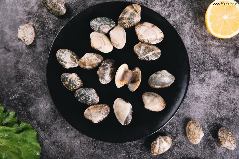 新鲜的蛤喇图片大全