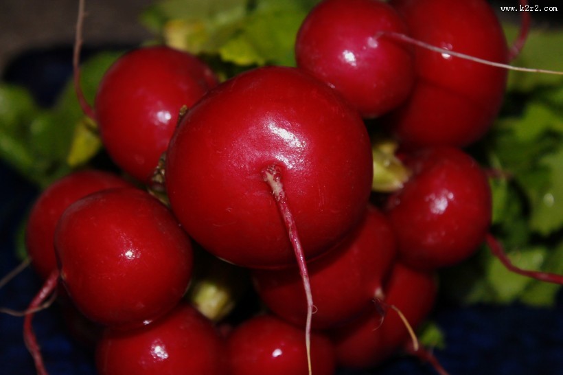 营养丰富的红萝卜图片