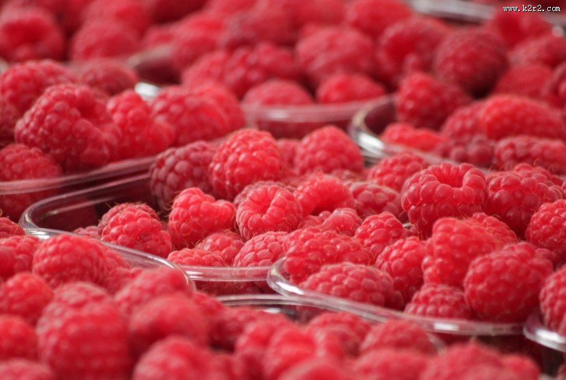 酸甜可口的红莓图片