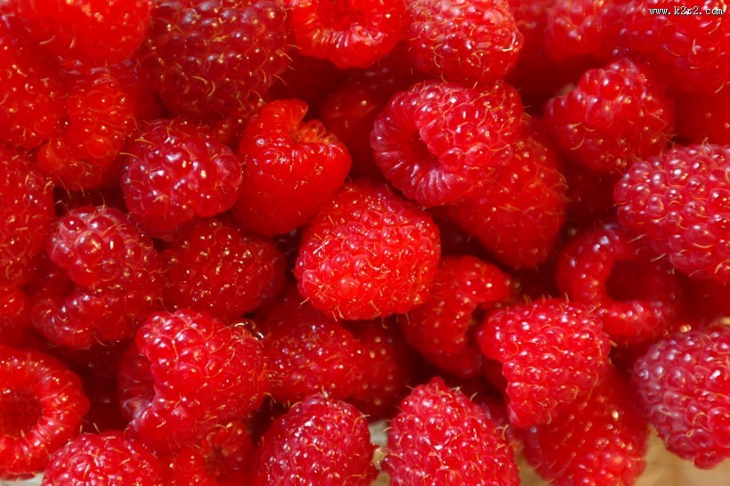 酸甜可口的红莓图片