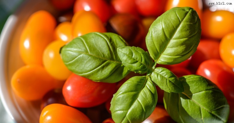 樱桃番茄圣女果图片