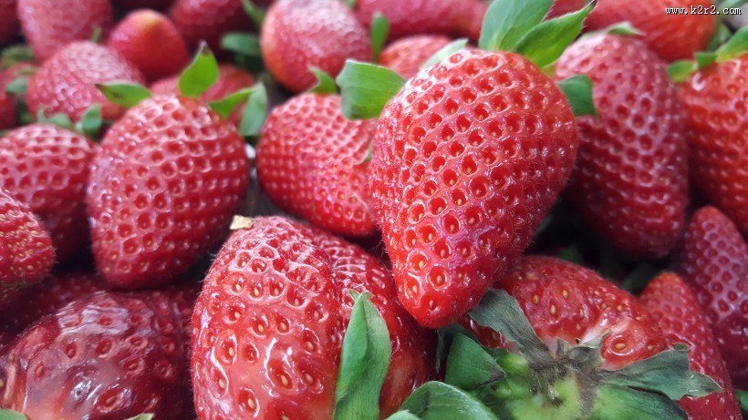 鲜红又美味的草莓图片