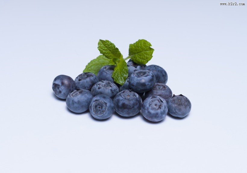 小巧的蓝莓图片大全