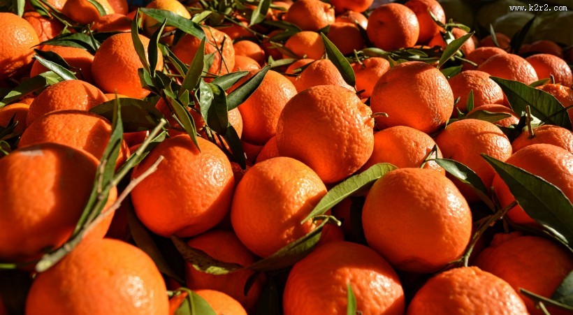 新鲜的橘子图片