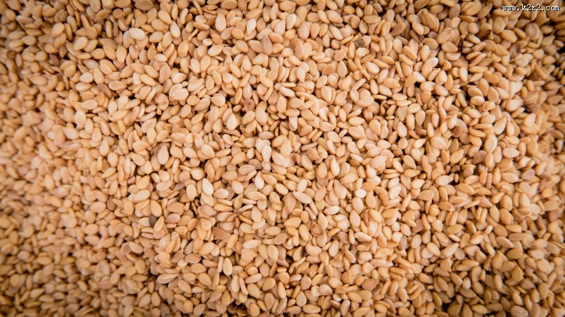 香气袭人的白芝麻图片大全