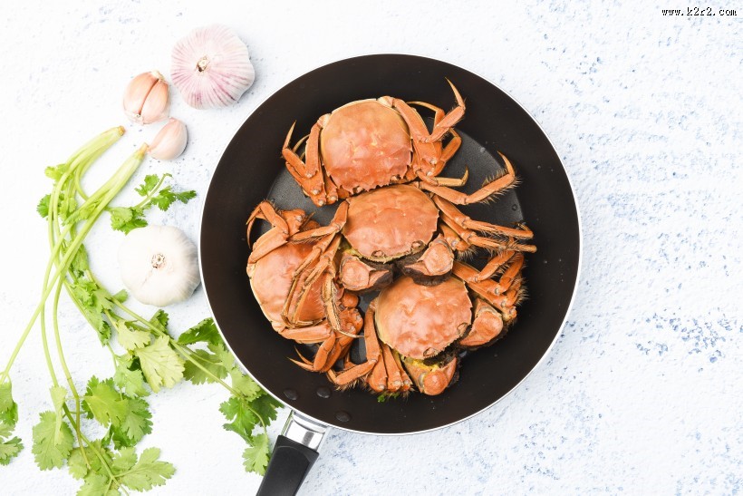 肥美的大闸蟹图片