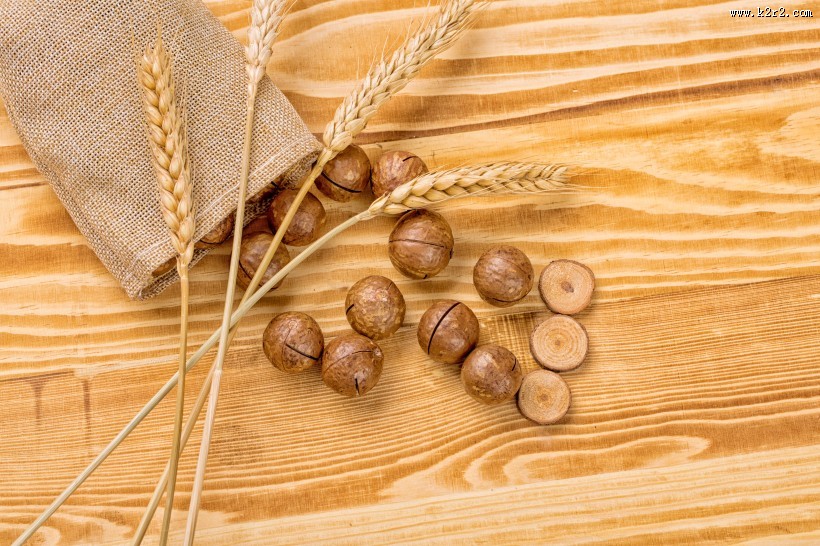 营养美味的夏威夷果图片