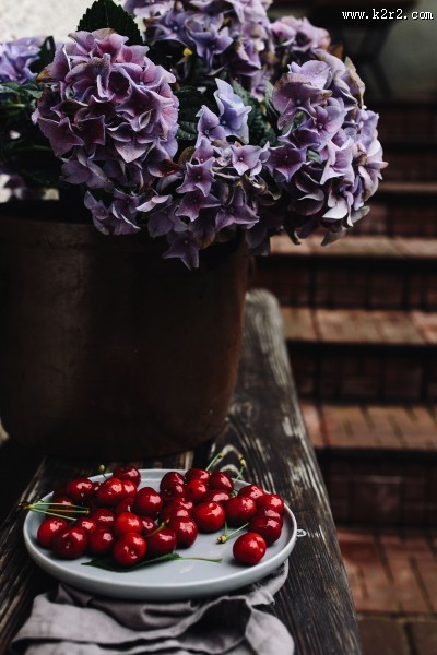 美味的樱桃图片