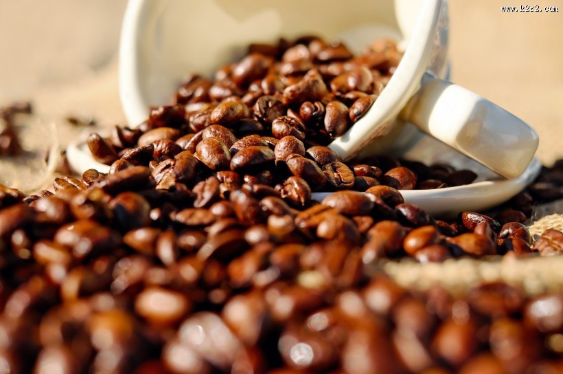 咖啡原料咖啡豆图片