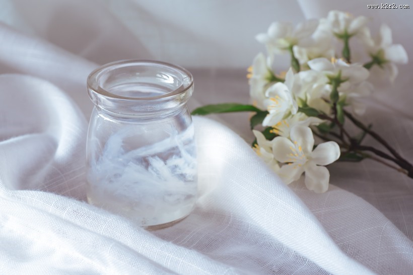 滋补养生好吃的燕窝图片大全