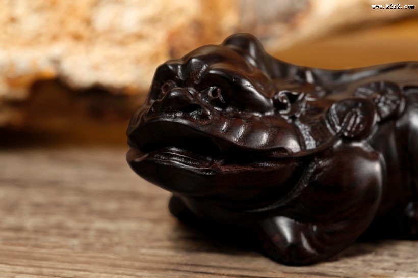 茶道用茶拨图片