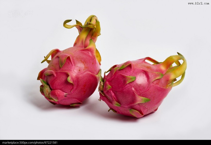 好吃的火龙果图片大全