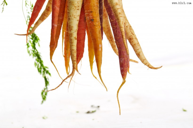 蔬菜胡萝卜图片