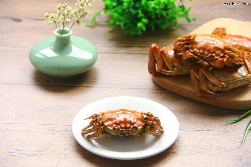 美味好吃的大闸蟹图片大全