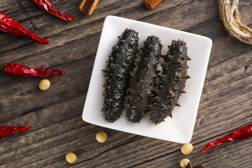 营养劲道的海参图片大全