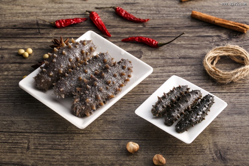 营养劲道的海参图片大全